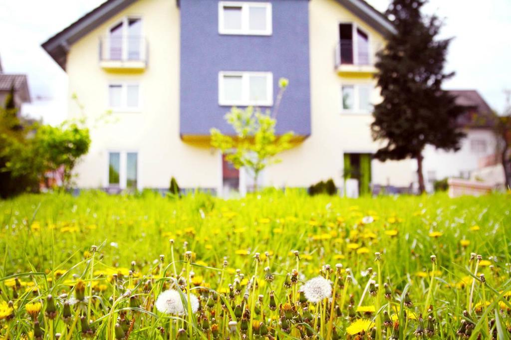 Hotel Pension Kaempfelbach Kampfelbach Exterior foto